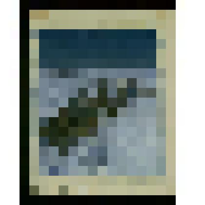 Катанье на тройках