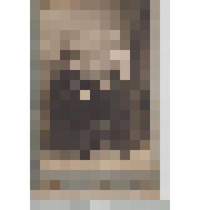 Фотография. Портрет молодых мужчины и женщины