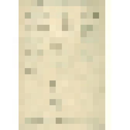 Программа.  Примерная  программа  школьной  ёлки