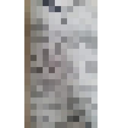 Газета "Адлерская правда"
№72 (3188) от 17.06.1960 г