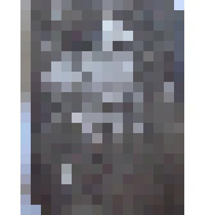 Фотография. Кожевников Василий Степанович машинист тепловоза