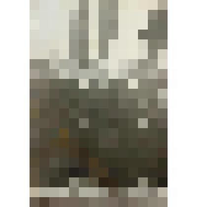 Фотография открытия первой электростанции в с.Альютово