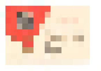 Свидетельство. Выпускница Тюменцевской средней школы Лерман Нина занесена в Книгу Почёта за достигнутые успехи в учёбе. 30 мая 1974 г