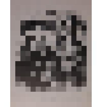 Exlibris Mark Rasumny