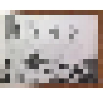 Фотография групповая. Республиканский кулинарный Совет