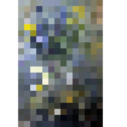 Картина. Натюрморт "Полевые цветы"