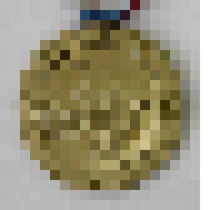 Медали памятные. Медаль "Памяти заслуженного тренера СССР и России Чаркова В.И."