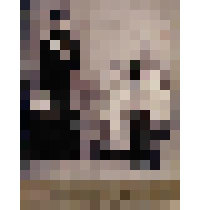 Фотография черно - белая  семьи из четырех человек - жителей г. Середы