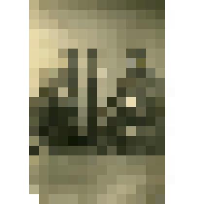 Фотография. Танкисты. М. Куликов, житель села Дьяковского с другом