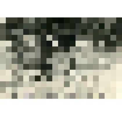 Фотография. Прогулка на лыжах по Братскому морю