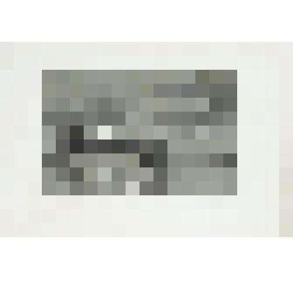 Литография. "Москва. Монастырь на Девичьем поле. Со стороны пруда."