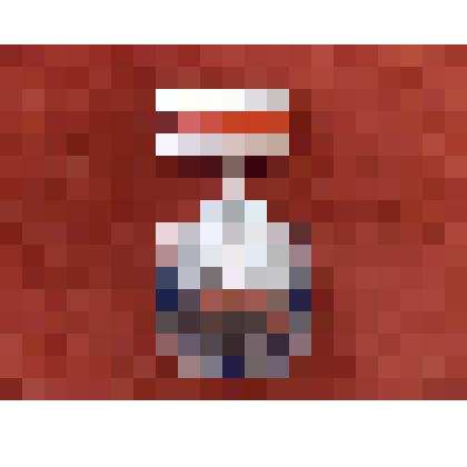 Медаль "Наставник молодежи" Егоровой М.А