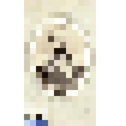 Фотография черно-белая. Каталей Василий Васильевич