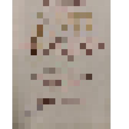 Грамота почетная ЦК КПСС, Совета Министров СССР, ВЦСПС, ЦК ВЛКСМ - птицефабрике "Ольская", Ольский район, Магаданская область