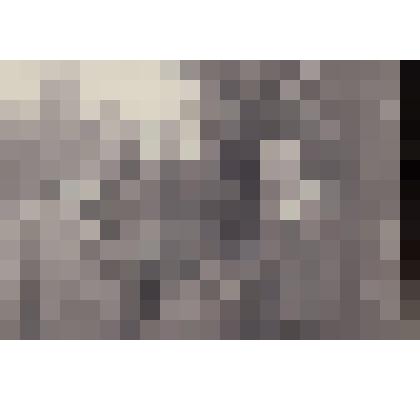 Фотография. Кассиль Л.А., Ефетов М.С