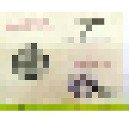 Удостоверение М.Борисова