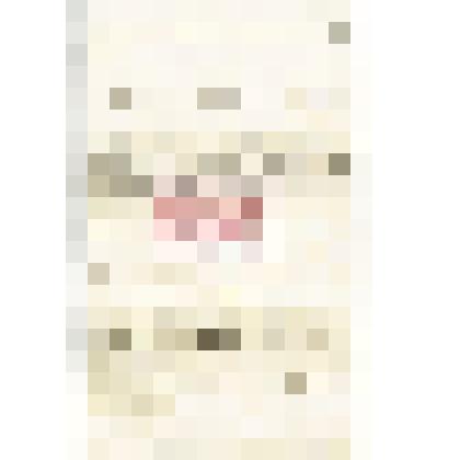 Письмо неустановленного лица Н. М. Мартьянову   с   жалобой   на  редактора «Енисейского листка» Кудрявцева, что не поставил её объявление о приёмке заказов  на  художественные  работы  в печать