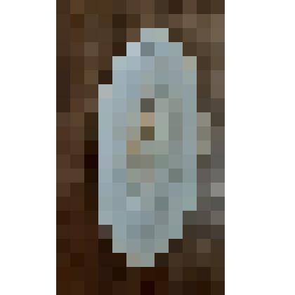 Селедочница (Т-во Кузнецова)