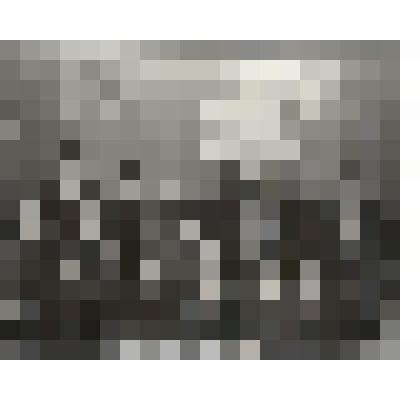 редкие фотоснимки. Илья Зверев на курсах работников СМИ