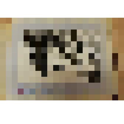 Фотография из альбома