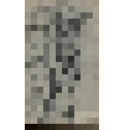 Две стоящие обнажённые: одна заслоняет другую