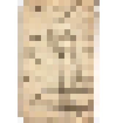 Ведомость о состоянии расчетов с рабочими и служащими, по производству работ Василия Николаевича Алина, 1899 г., февраль
Отчет  Господину Горнопромышленнику Василию Николаевичу Алину о приходах, расходах и остатках денежных сумм, состоящих на дочете довер