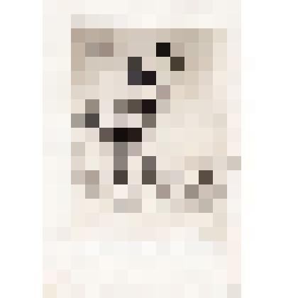 «Казе Роза».1930