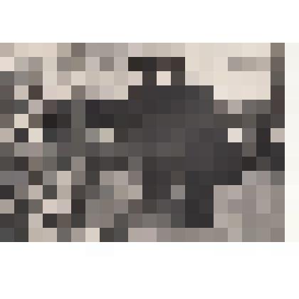 Фото/чб. Костин И.С., директор ЭОМС (ВОЛЖНИИГИМ) с представителями на сельхозвыставке. 1960-е