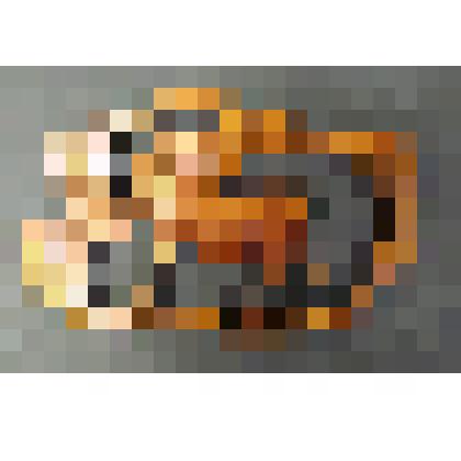 "Северная фантазия"