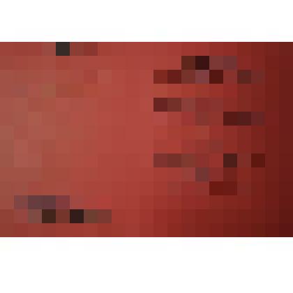 Диплом "Мастер уборки урожая 1978 года" на имя Жданюк Петр Федорович- совхоз Новотроицкий