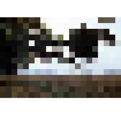 Диапозитив. (402)