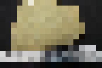 Радиальные ходы илоедов