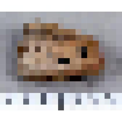 Нуклевидный отщеп