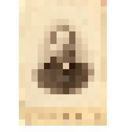 Фотография. Осташкин Павел Петрович- вице губернатор,действительный  статский советник,С.-Петербург