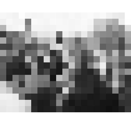 Фото Венгерская делегация туристов в Кузнецке