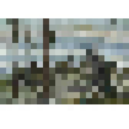 Сараи. Из серии "Старая Ладога"