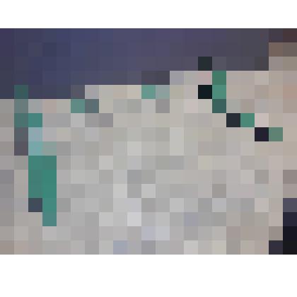 Спаренные тормозные башмаки