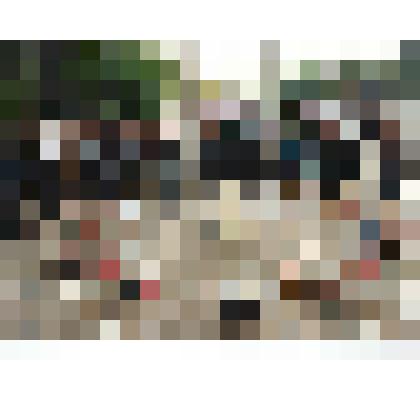 Ф/цв. Музейный пикник-1999, проект "Варка арбузного меда": площадка у центрального входа в горпарк