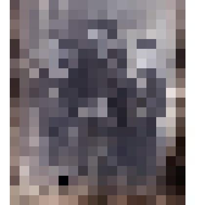 Стеклянный негатив. "Портрет женщины с детьми"