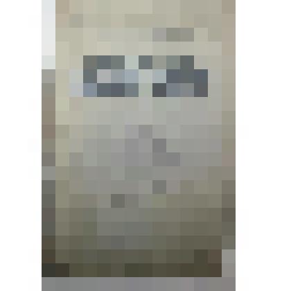 Книга. Определитель болезней растений по внешним признакам. 2-я типография ОГИЗа РСФСР  треста "Полиграфкнига "Печатный двор" имени А.М. Горького