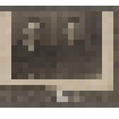 Фотография. Кустовский Флегонт Александрович с товарищем