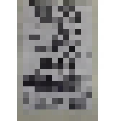 Дуб. Австрия. Рисунок