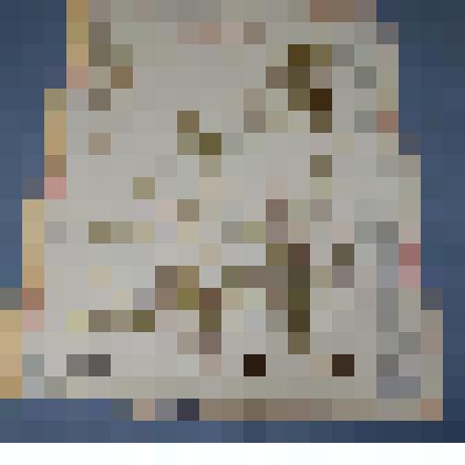 Ботаническая коллекция. Тимьян ползучий (богородская трава), на гербарном листе