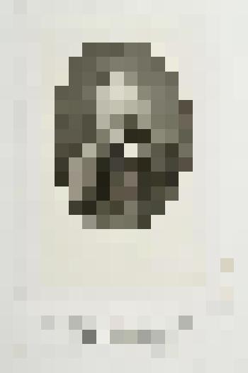 Портрет Н.А. Милютина. Пробный оттиск