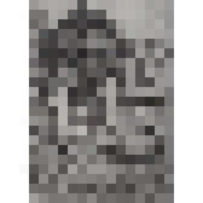 Графическая работа. Дом Пушкиных в Михайловском