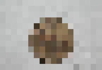 Монета. 2 копейки