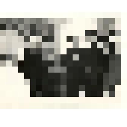 Фотография: встреча учащихся Каменского педагогического училища с комсомольцем 1920-х гг. Исыповым Иваном Яковлевичем в здании музея