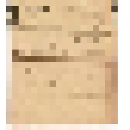 Телеграмма в Чердынь В.О.Алину от Сокотова из Печерского-Устьцильмы, 08.07.1904 г