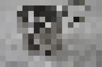 Подстаканник латунный никелированный