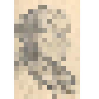 Портрет пожилой женщины